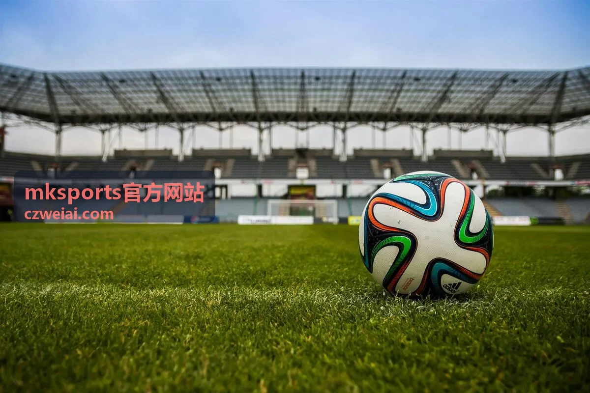 mksports官方网站多功能体能训练垫