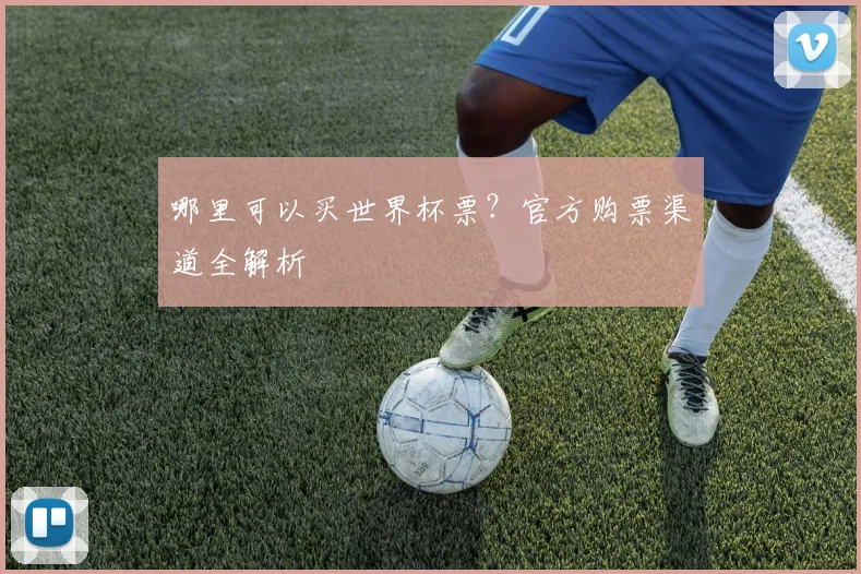 哪里可以买世界杯票？官方购票渠道全解析