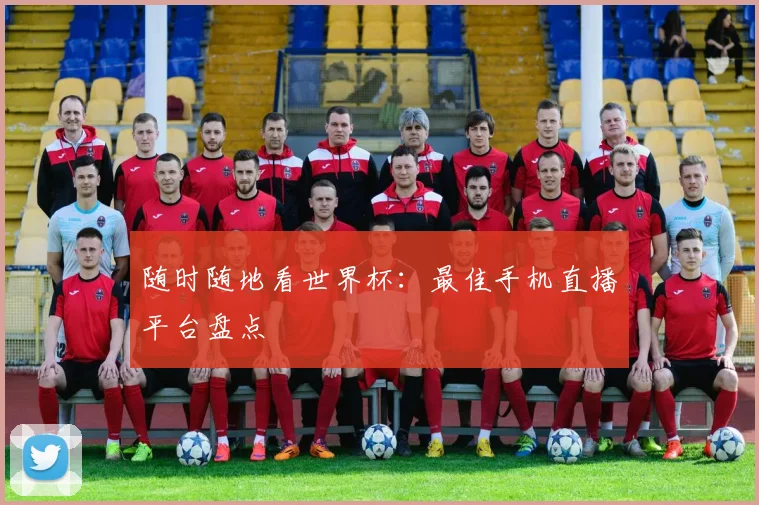随时随地看世界杯：最佳手机直播平台盘点