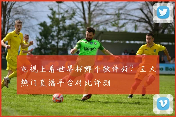 电视上看世界杯哪个软件好？五大热门直播平台对比评测